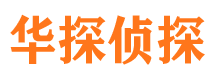 迎江市调查公司